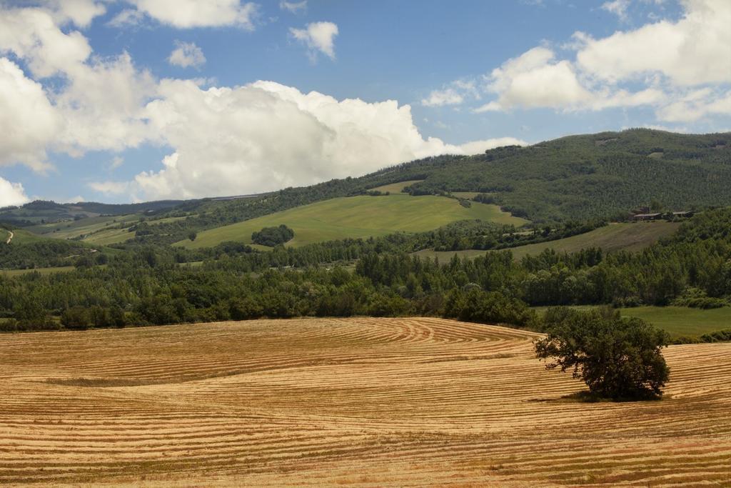 Agriturismo Piettorri Casole dʼElsa Pokój zdjęcie